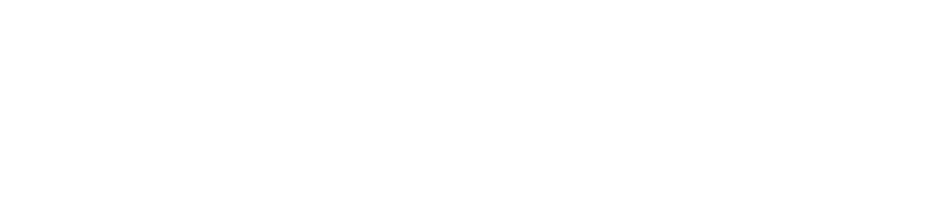 LEVINKO